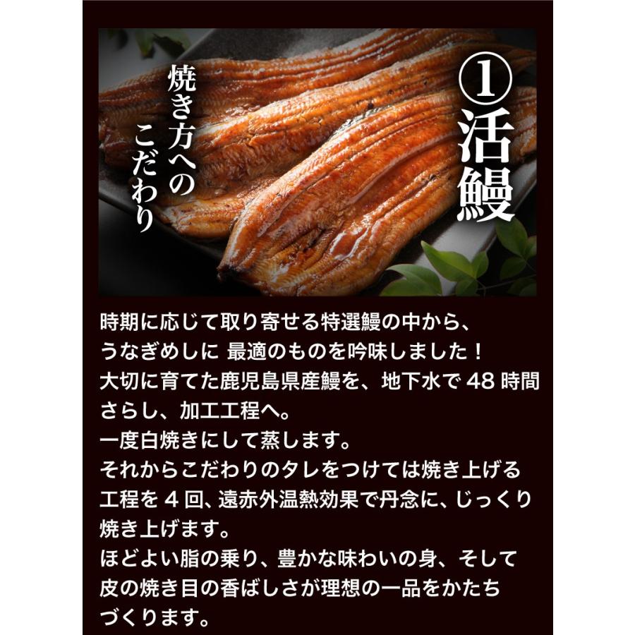 ギフト うなぎめし せいろ蒸し仕立て 8食 うな重  プレゼント 鹿児島県 佐賀県産特別栽培米 山椒 送料無料 クール便