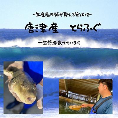 ふるさと納税 唐津市 唐津産 とらふぐてっさと切り身の贅沢食べ比べ! 24人前