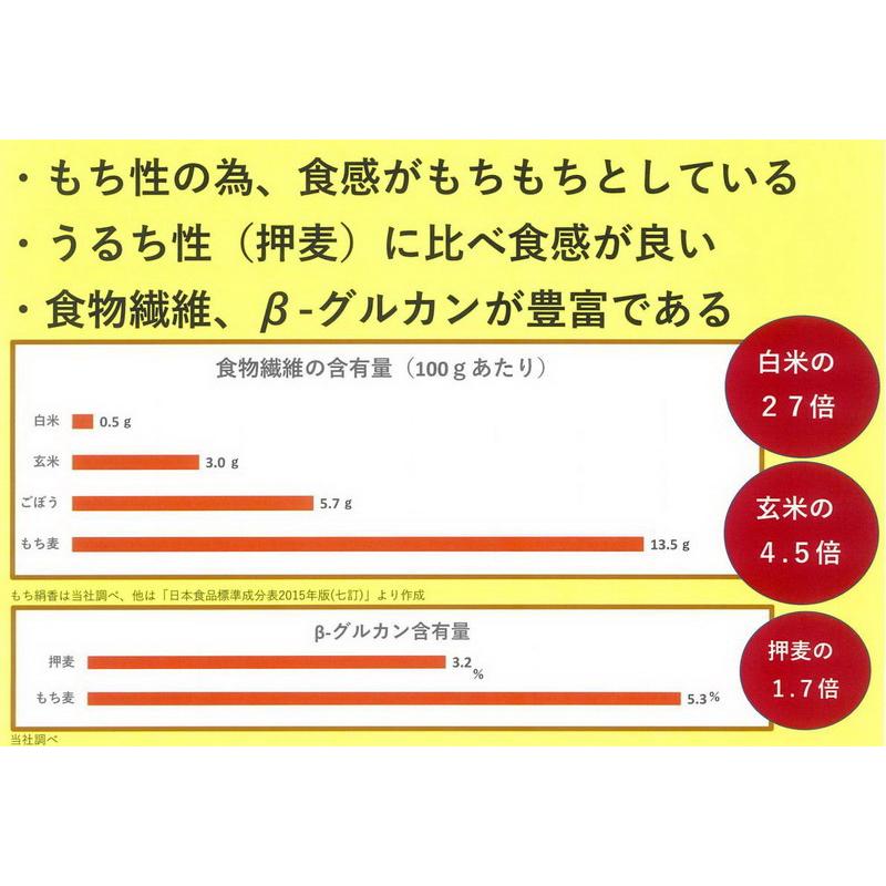 栃木県産もち麦 もち絹香 500ｇ 食物繊維たっぷり冷めても美味しい国産100%のもち麦!炊飯後に変色しにくく、大麦特有の臭い控えめ、もち麦の欠点を大きく改善