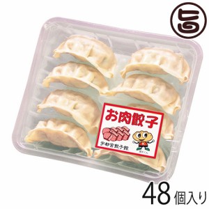 お肉餃子 8個入り×6パック 48個入り 宇都宮餃子館 栃木県 宇都宮 お取り寄せ 惣菜 冷凍