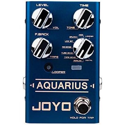 JOYO Digital Delay Effect Pedal with Looper (5 Minutes) R Series Digital Delay Effects for Electric Guitar (Aquarius R-07)