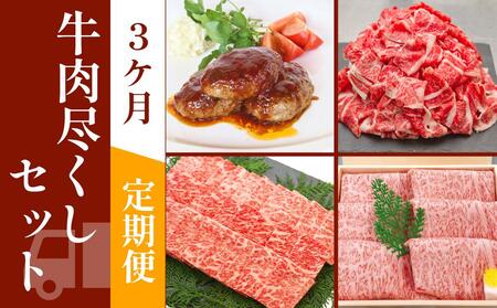 お肉の定期便　たっぷり牛肉尽くしセット(3か月)