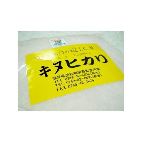 2023年 新米 キヌヒカリ 近江米 10キロ と 野菜 プレゼント 滋賀