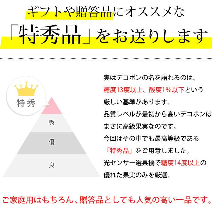 正規品・特秀品です！ みかん 愛媛県産 デコポン 特秀品 約2kg 2Lサイズ 8玉 蜜る 糖度14度以上保証