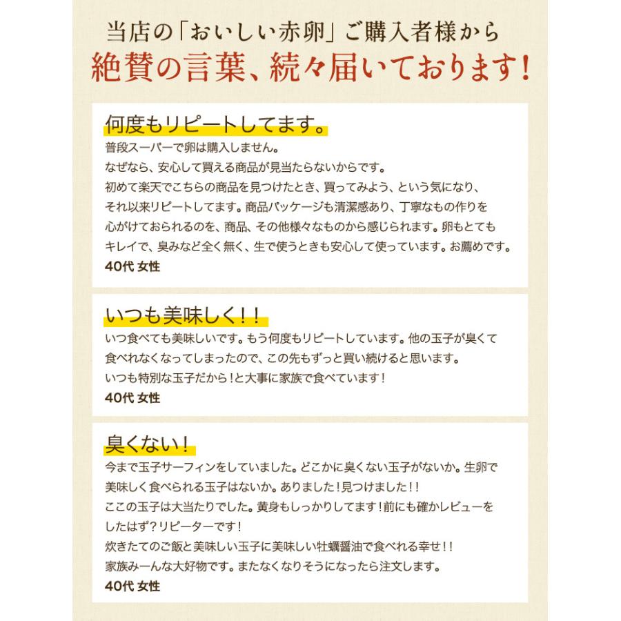 櫛田養鶏場 くしたま 10個入 (赤卵)