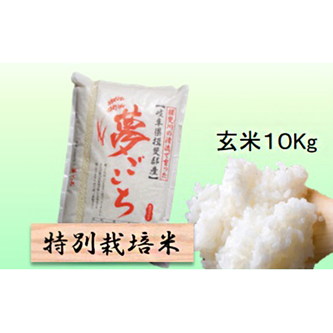 特別栽培米★玄米10kg 