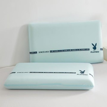 【PLAY BOY】零壓力涼感慢回彈記憶枕(止鼾枕/釋壓支撐/透氣好眠/太空記憶棉)