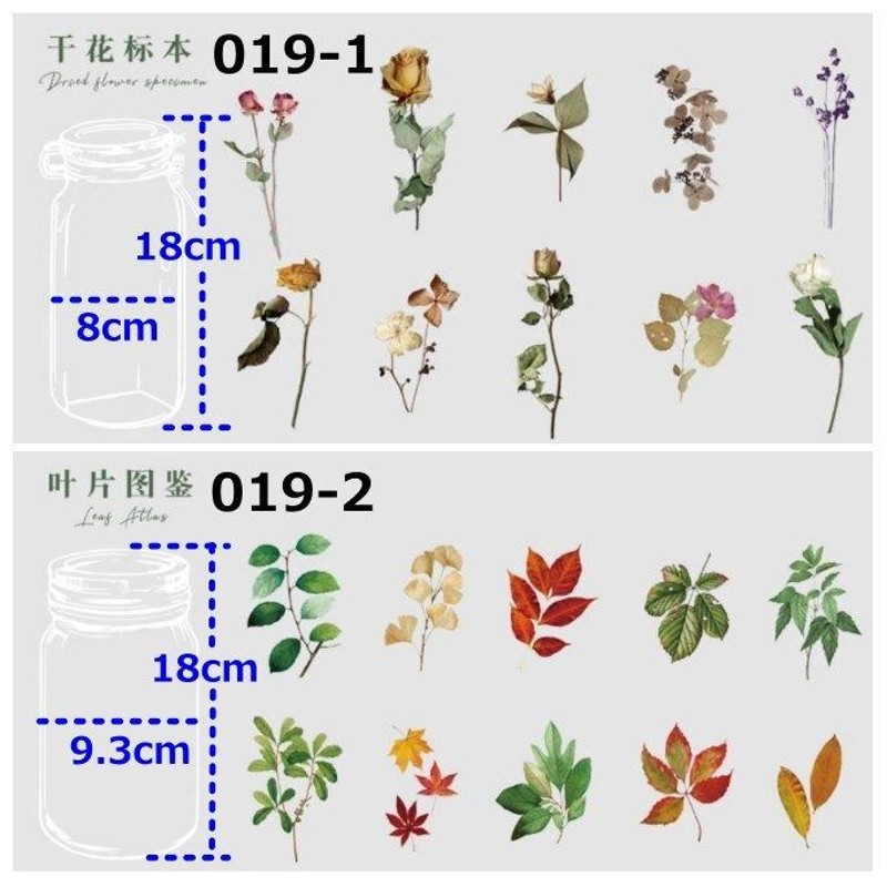コラージュ シール ステッカー ボトル 花 葉 ボタニカル 海外 フレーク
