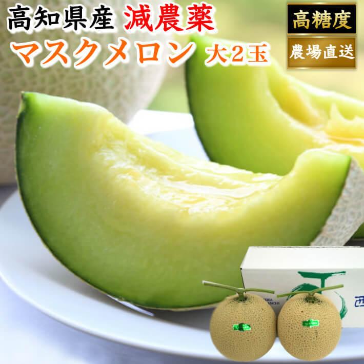 高知県産 高級マスクメロン 大玉(約1,5ｋｇ×２) 家庭用 フルーツ ギフト