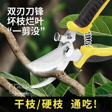 熱銷🔅園林不鏽鋼省力果樹剪刀修枝剪花剪粗枝剪園藝工具樹枝剪花枝剪刀