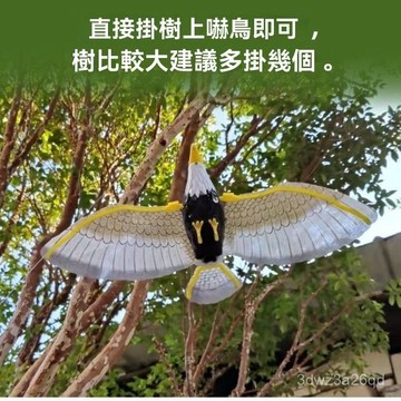 🤘蝦米優選🤘菜園䮠果園嚇鳥大號仿真老鷹模型塑膠果園菜園嚇鳥䮠鳥 WBWI