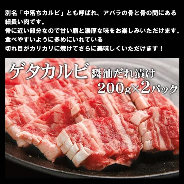 肉 牛カルビ焼肉 焼き肉 焼肉 セット バーベキュー 肉 カルビ 3種盛り 3-4人前 計1.2kg BBQ 牛肉 食品