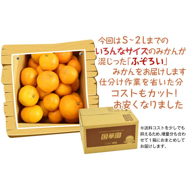 みかん 熊本みかん（1.5kg）ご家庭用 熊本産 送料無料 2セット目から増量 S〜2L 増量特典 ポイント消化 蜜柑 果物 国華園