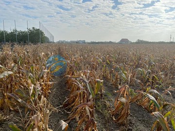 麻豆區交流道特定區都市計畫內952農地｜台南市麻豆區埤頭