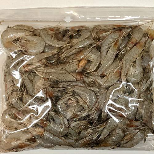 有明海産 芝えび ２ｋｇ（１ｋｇ×２） 冷凍発送