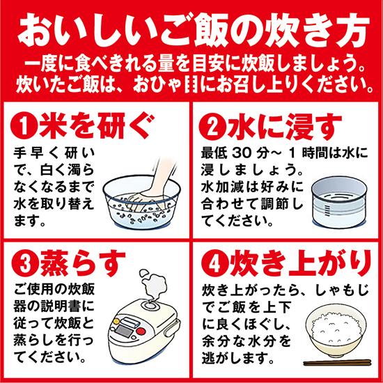 農家のお米直送 令和5年産 はえぬき（精米） 10kg