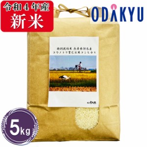 お米 5kg 令和４年産 特別栽培米 兵庫県産 コウノトリ育む コシヒカリ　米 送料無料　※沖縄・離島届不可