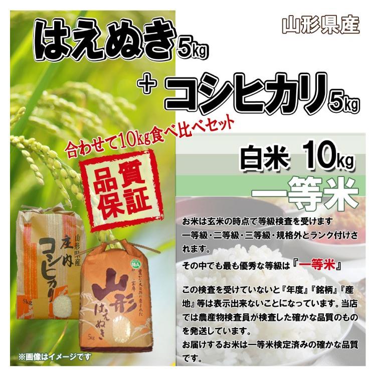 白米 10kg (5kg×2) 山形県産 はえぬき5kg・コシヒカリ5kgセット 米 お米 精米済 令和5年（送料無料）