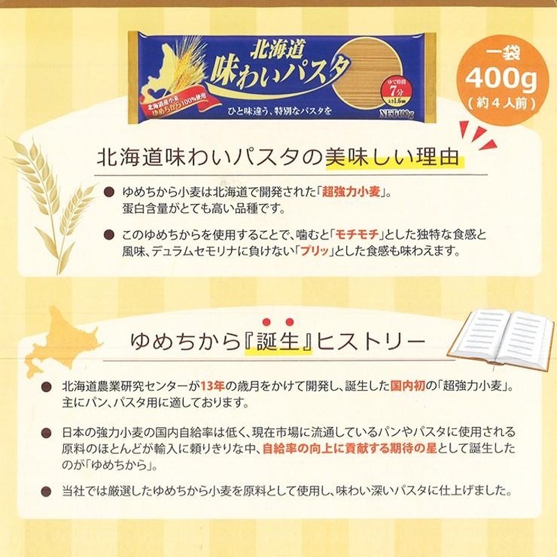 北海道 味わいパスタ 400g 太さ1.6mm 北海道産 小麦 ゆめちから 100