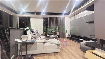 麗晶花園美裝潢2+1房車｜桃園市桃園區藝文一街