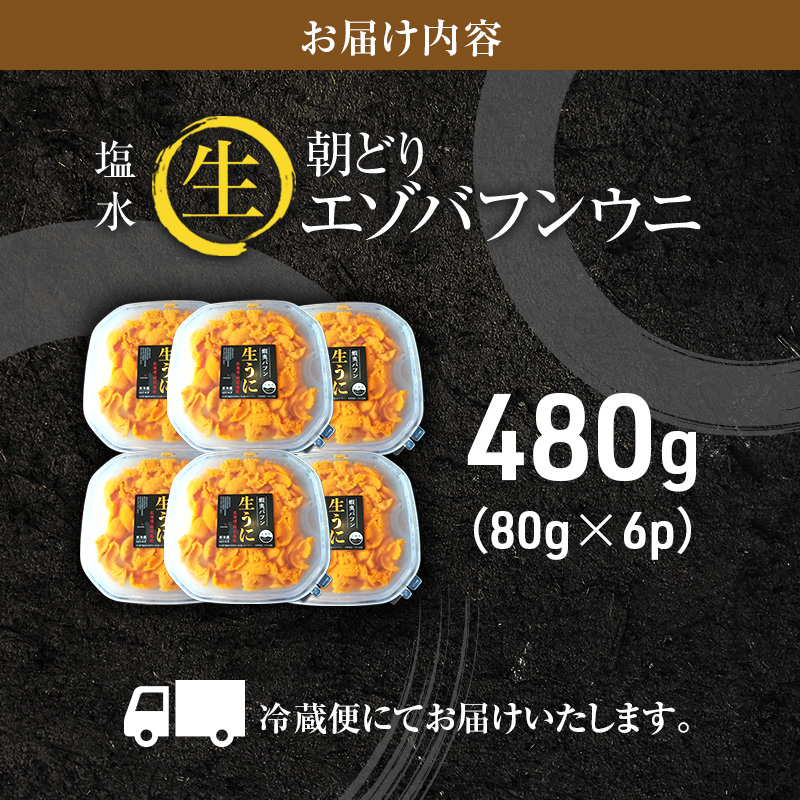 北海道 利尻 島産「朝どり」生うに塩水パック80g×6パック（蝦夷 バフンウニ）［2024年6月発送開始先行受付] ウニ 塩水ウニ