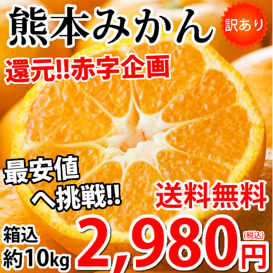 みかん 10kg 訳あり 箱込（内容量9kg＋補償分500ｇ） 熊本みかん 蜜柑