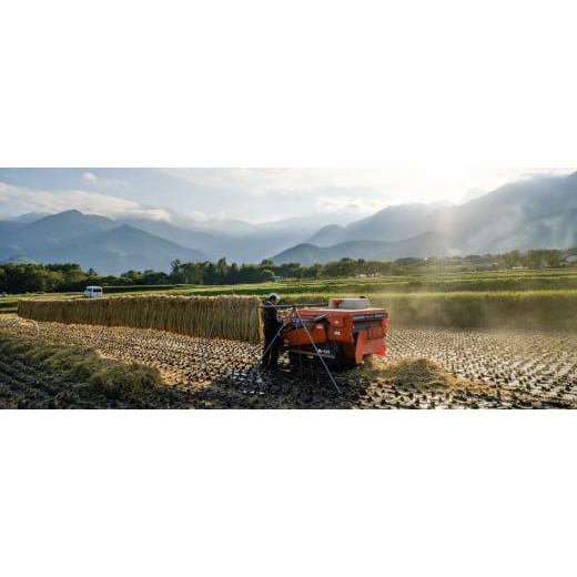 ふるさと納税 山梨県 北杜市 そらくも農場のミネラルたっぷりどんぐり米（白米5kg）