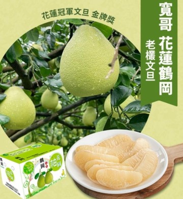 文旦 【花蓮寬哥】冠軍文旦★鶴岡老欉文旦禮盒6kgX2箱(9入/箱) 東部柚王獲獎無數/中秋