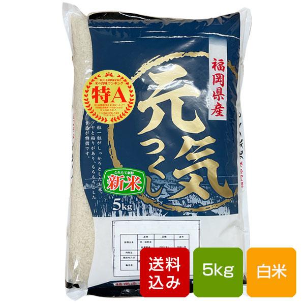 元気つくし 5kg 白米 特A 福岡県産 令和5年産