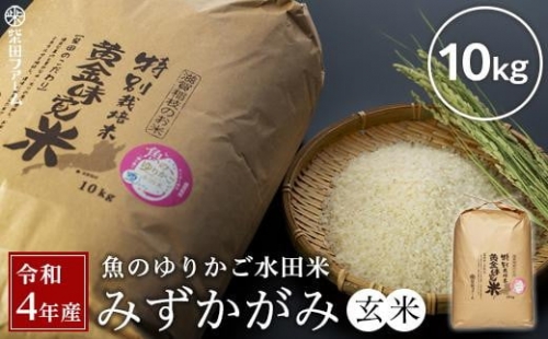 令和5年産（新米）滋賀県認証！魚のゆりかご水田米「みずかがみ」玄米10kg