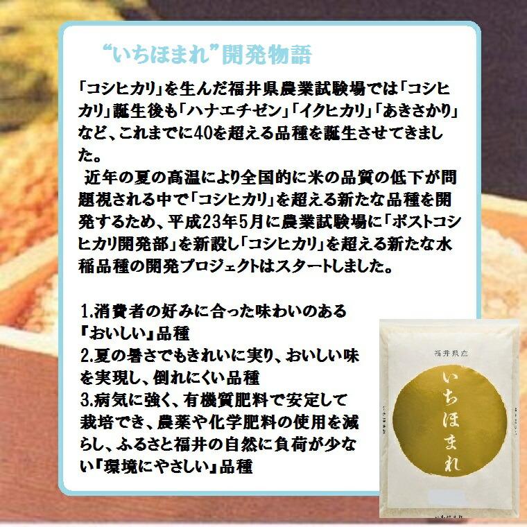 福井のお米特別栽培米５Ｋ袋 白米・新米・ブランド米