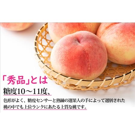 ふるさと納税 ＜2024年先行予約＞桃 秀品 3kg 糖度10％以上 ※クール便配送 177-005 山梨県笛吹市