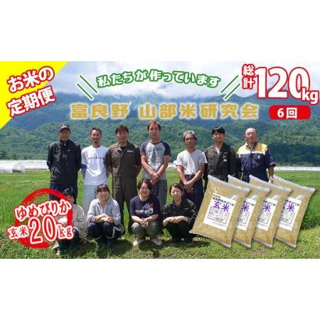 ふるさと納税 ◆6ヵ月定期便◆ 富良野 山部米研究会玄米 5kg×4袋（20kg） 北海道富良野市