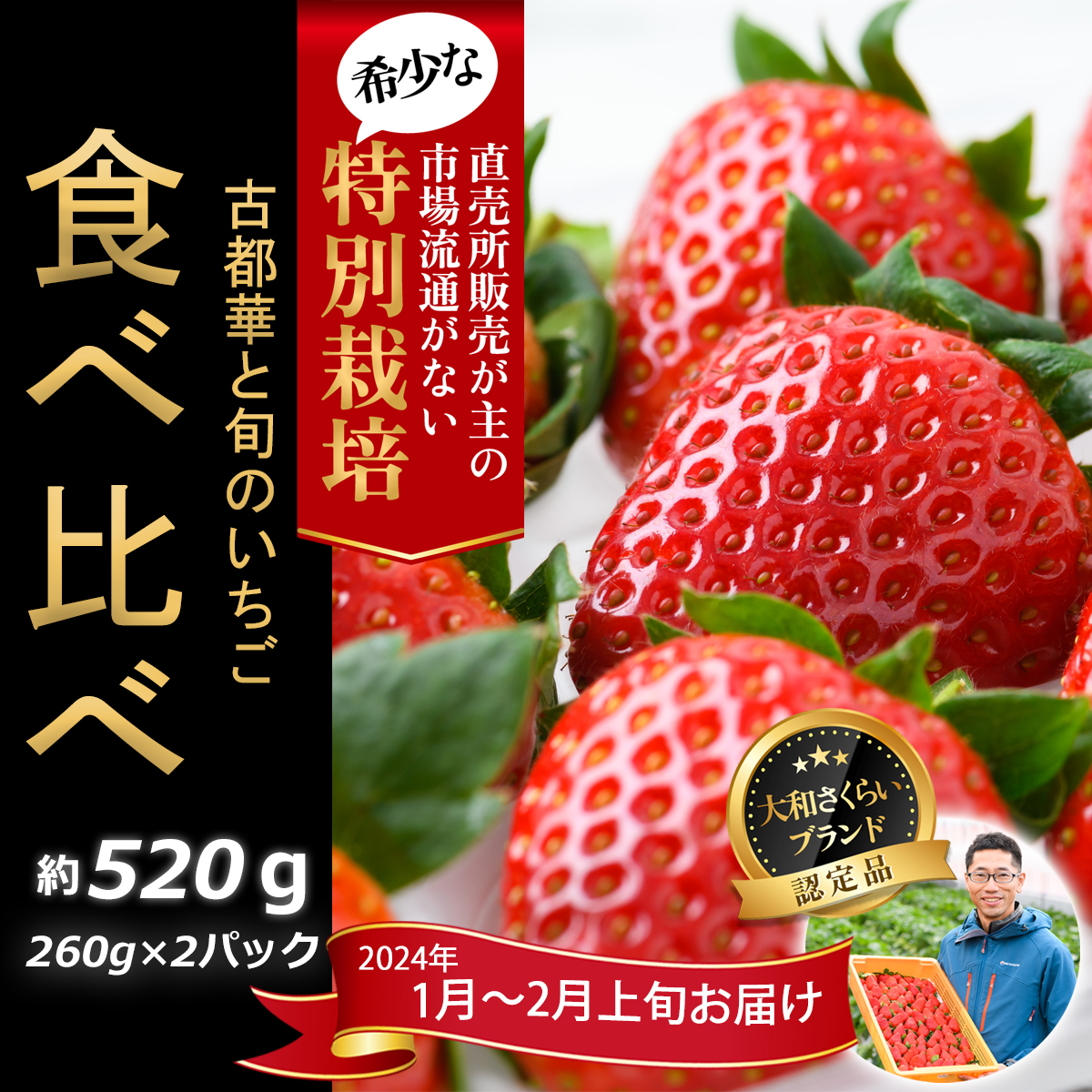 Odamaki農園のいちご 特別栽培農産物 ※配送地域限定