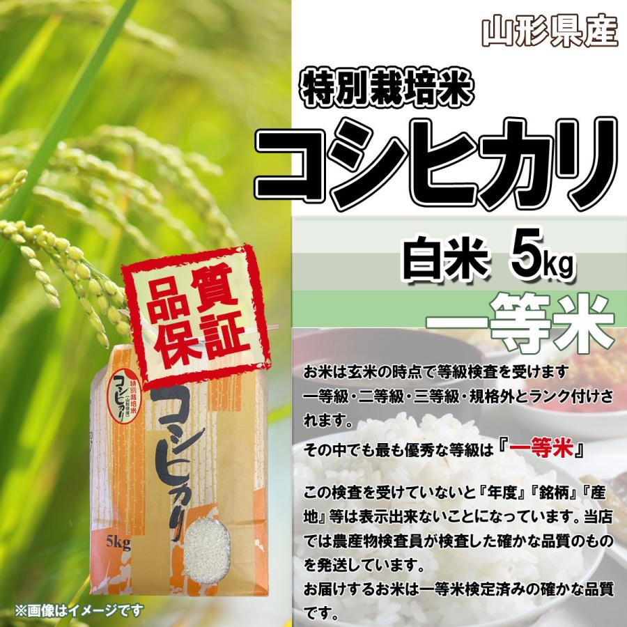 令和5年産 新米 送料無料 山形県産 特別栽培米 コシヒカリ 白米 5kg 安全で確かなものを食卓へ 5キロ 五キロ お米 おこめ