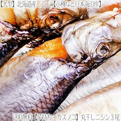 （送料無料 特大ニシン 北海道産）日本海産 丸干しニシン×3枚（子持ち カズノコ 居酒屋卸 大型330g前後 姿干し 有頭 小樽 増毛 稚内 利尻など）