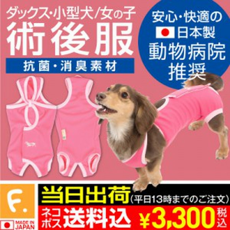 エリザベスカラーの代わりになる 犬用術後服エリザベスウエア R 女の子 雌 ダックス 小型犬用 ネコポス値2 通販 Lineポイント最大1 0 Get Lineショッピング