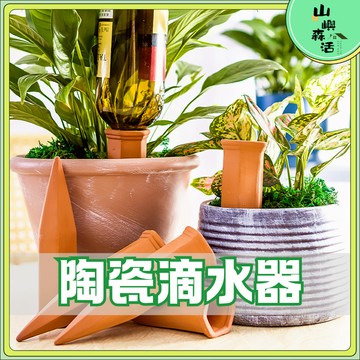 【現貨🌳隔日到貨】定時澆花器  懶人澆花器 澆水器  自動澆花器 陶瓷自動滴水器 陶瓷 澆花滴水器 園藝 園藝工具