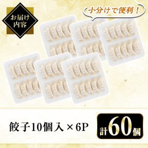 A3-008 国産！鹿児島県産黒豚餃子60個(10個入×6P)