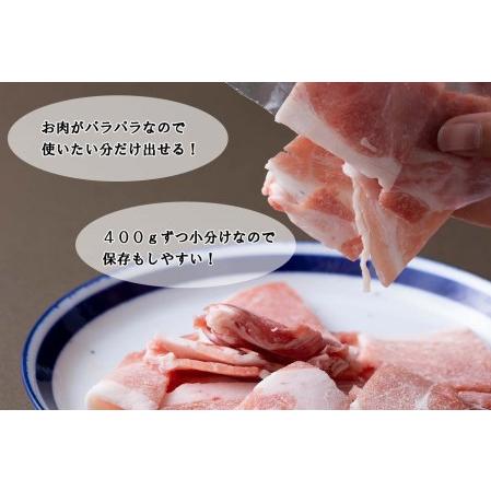 ふるさと納税 ＜定期便12回＞ 北海道産 健酵豚 小間切れ ＆ ひき肉 計 1.2kg (全14.4kg) 北海道新ひだか町