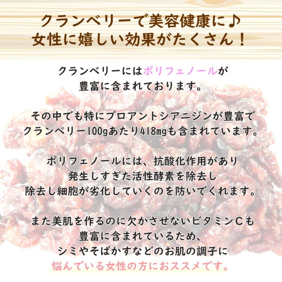 大地の生菓  ドライフルーツ ドライクランベリー 100g 送料無料 お試し 製菓材料 非常食 クリスマス ギフト プレゼント 2023