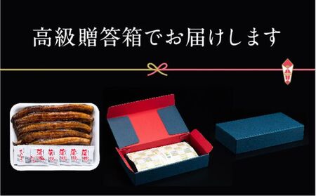 朝じめ うなぎ 溶岩焼き 蒲焼き 5尾（約140g×5尾）