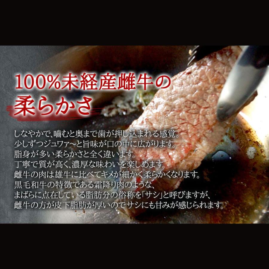 肩ロース すき焼き 300g 鹿児島県産 黒毛和牛 黒毛姫牛 A4 冷凍 ポイント消化 食品 お取り寄せ ご当地 ブランド 牛 送料無料 