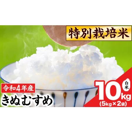 ふるさと納税 令和4年産 特別栽培米 きぬむすめ10kg 5kg×2袋 岡山県産 白米 精米 単一原料米 矢掛町《30日以内に順次出荷(土日祝除く)》JA.. 岡山県矢掛町