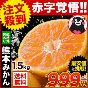  熊本みかん 1.5Kg 訳あり みかん 不選別 送料無料 家庭用 2セット以上でオマケ増量 7-14営業以内発送予定(土日祝除く)