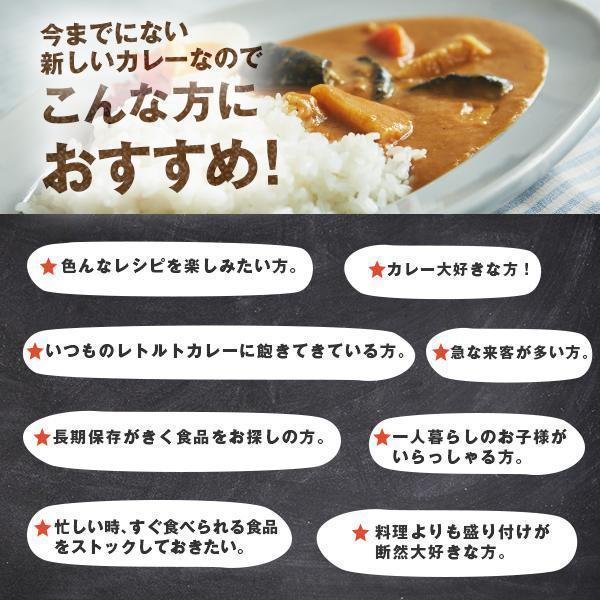 カレー ごと カレー レトルト  国産 保存料 無添加 五島 鯛のだし カレー ギフト 御歳暮 内祝い