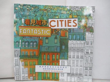 【書寶二手書T2／藝術_UFG】看見城市_史蒂夫麥克唐納