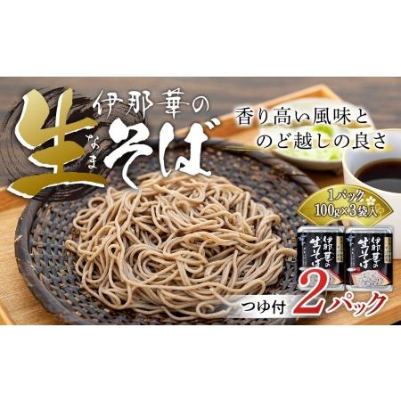 ふるさと納税 JA上伊那 伊那華の生そば 2パック×（100g×3袋）つゆ付き そば ソバ 蕎麦 生そば 長野 長野県産 信州産 年越し 八割 乾麺.. 長野県箕輪町