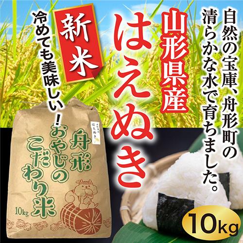 はえぬき新米10ｋｇ　山形県産　令和5年産　精白米　送料無料（沖縄離島除く）産直