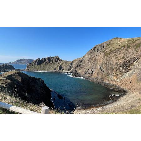 ふるさと納税 北海道 礼文島産 昆布〆 バフンウニ 100g 北海道礼文町